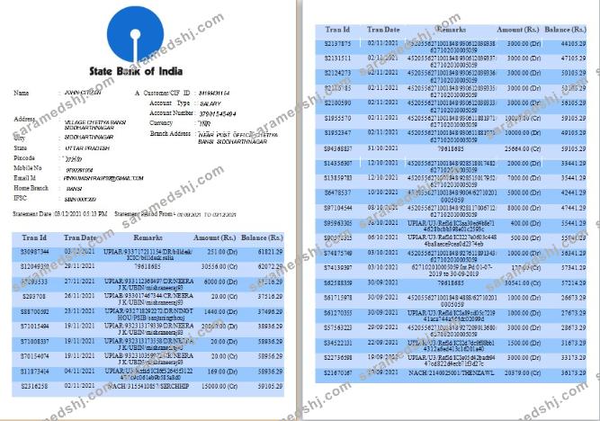 India State Bank of India bank statement template, Word and PDF format, 6 pages